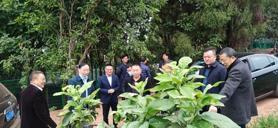 https://www.scvtc.edu.cn/__local/4/40/57/B78A77EB2C7A0988D5EAF96CC51_AF31ADBD_9A00.png